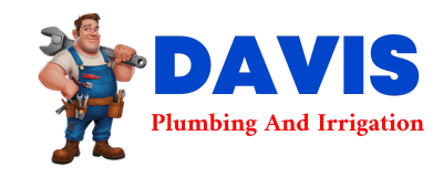 Trusted plumber in IDEAL